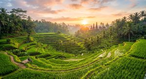 bali-france-decalage-horaire